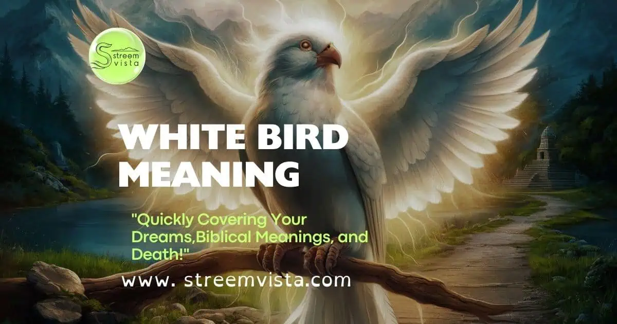 White bird symbolizing purity and peace, representing spiritual and biblical meanings in various cultures and beliefs.