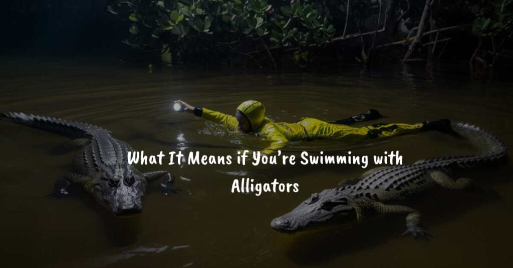 what-it-means-if-youre-swimming-with-alligators