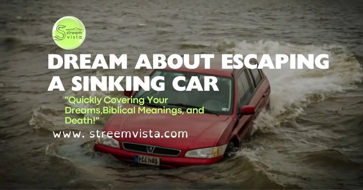 A person envisions a dramatic escape from a sinking car, symbolizing the "Dream About Escaping a Sinking Car."