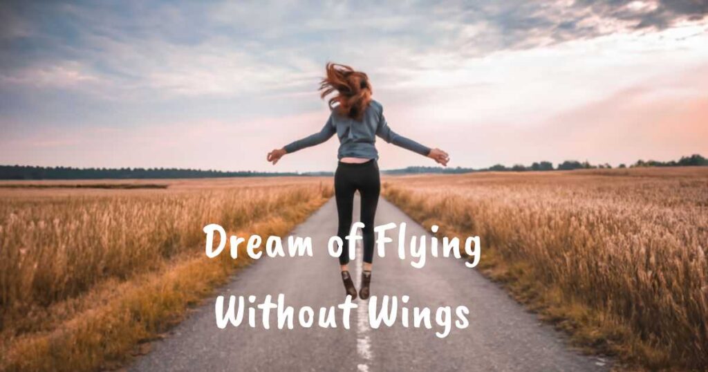 dream-of-flying-without-wings