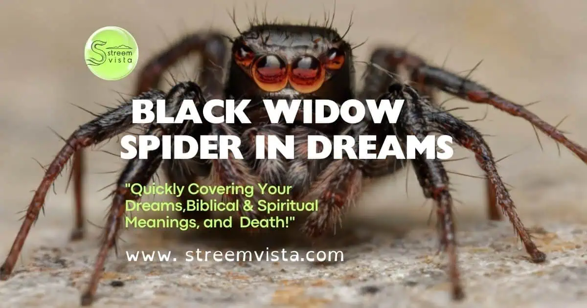 A black widow spider symbolizes fear and mystery in dreams, reflecting the themes explored by Will Sonbuchner.