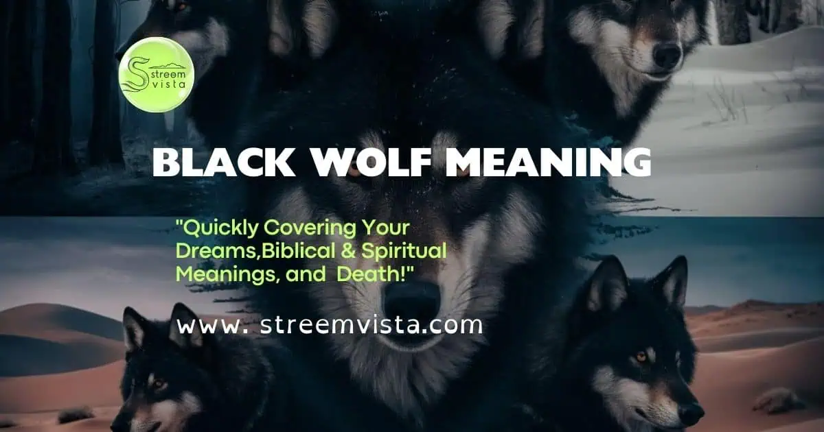 Black wolf symbolizing strength and intuition, representing the "Black Wolf Meaning in Dream & Interpretation."