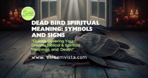 Dead Bird Spiritual Meaning: Symbols and Signs