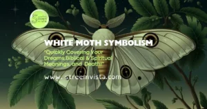 A detailed illustration of a white moth with outspread wings. The moth is perched on a branch with green leaves. The background is a dark blue sky with a few stars. The overall image has a soft lighting.