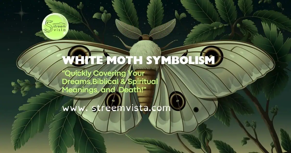 A detailed illustration of a white moth with outspread wings. The moth is perched on a branch with green leaves. The background is a dark blue sky with a few stars. The overall image has a soft lighting.