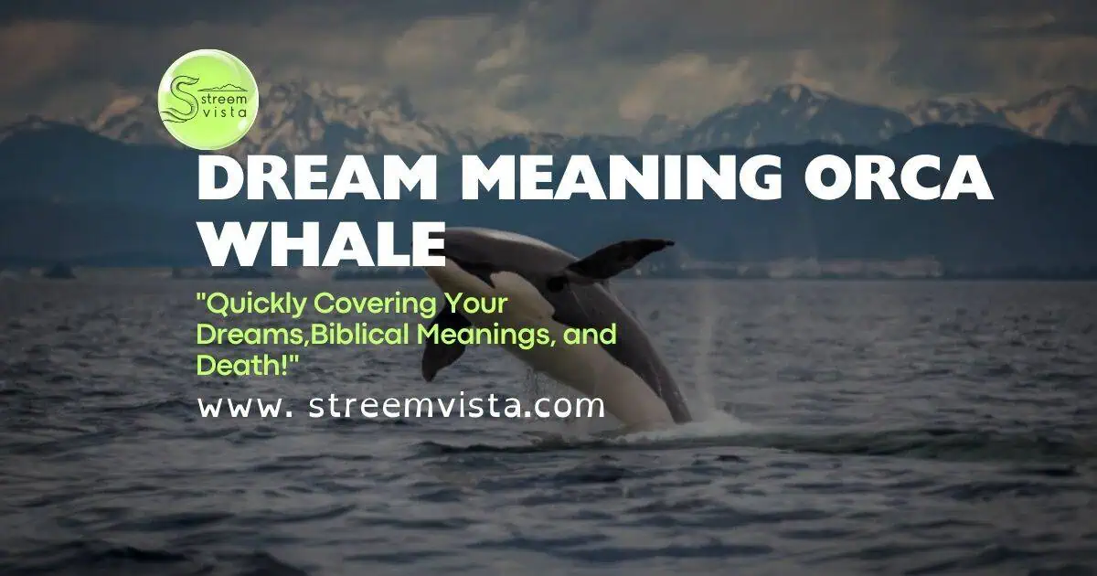 An artistic representation of an orca whale, symbolizing the dream meaning of orca whale in a serene ocean setting.